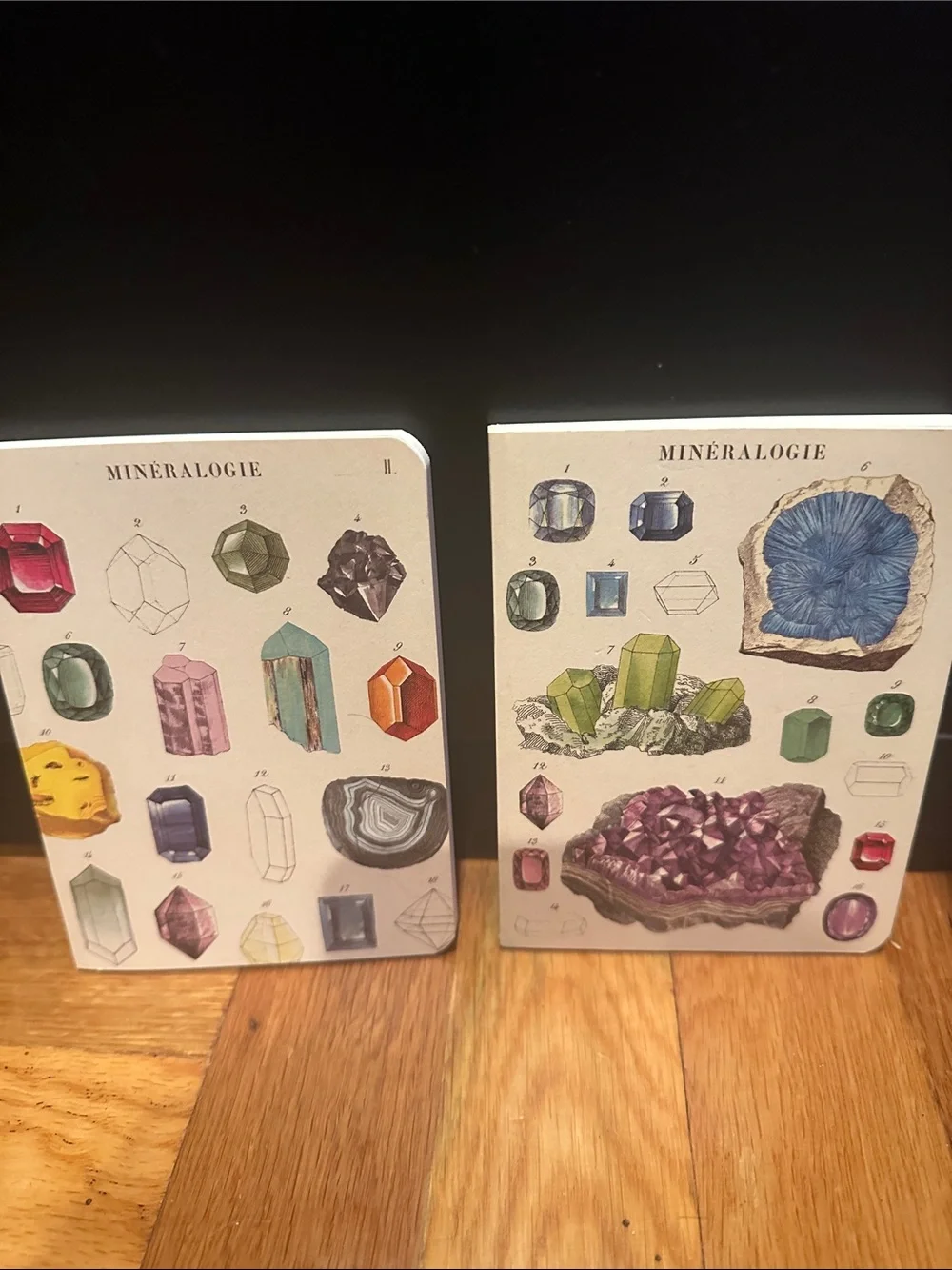 Mineralogie Gemstone Notebook Set — Illustrated Crystal Covers